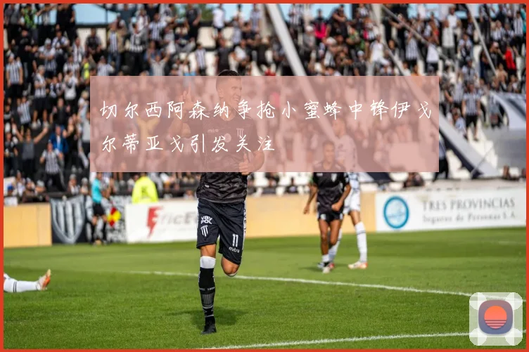 切尔西阿森纳争抢小蜜蜂中锋伊戈尔蒂亚戈引发关注